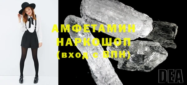сатива Волоколамск