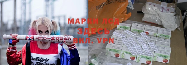 сатива Волоколамск