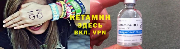 сатива Волоколамск