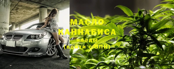 сатива Волоколамск
