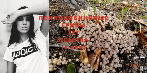 мяу мяу кристалл Тайга