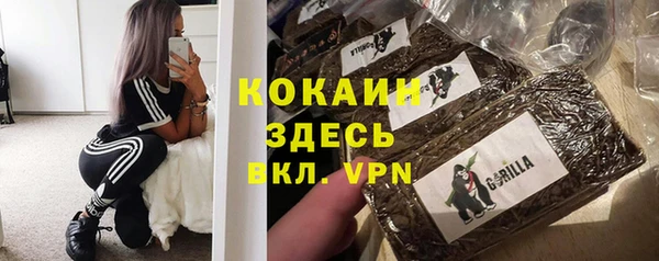 сатива Волоколамск