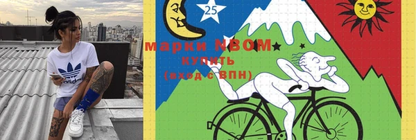 сатива Волоколамск