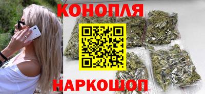 сатива Можга