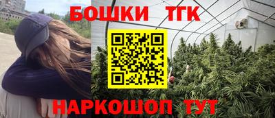 сатива Можга