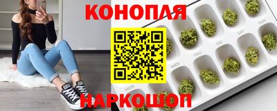 мдпв Моздок