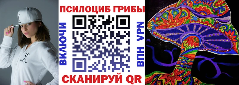дарк нет телеграм Славянск-на-Кубани Псилоцибиновые грибы мицелий