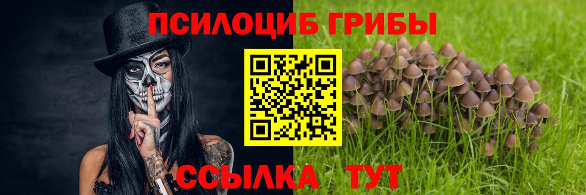 Галлюциногенные грибы прущие грибы  Вход с VPN  Славянск-на-Кубани 