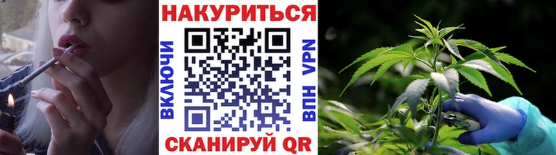 Каннабис Amnesia Славянск-на-Кубани